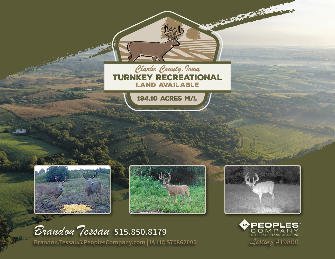 Listing #19800